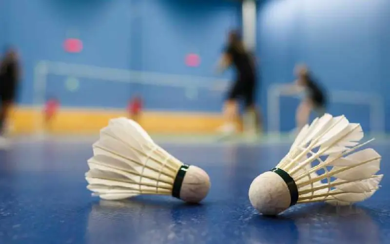 Badminton Game