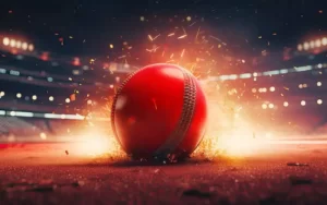 Cricket Match